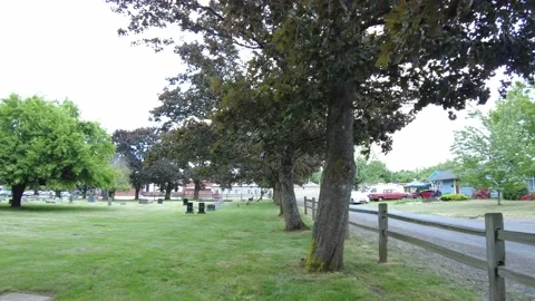 Walking by a Set of Trees in a Cemetery Stock Footage 154381831
