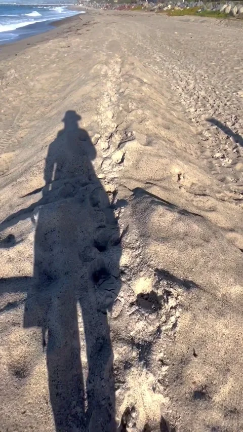 Walking Shadow on Sandy Beach POV Vídeos de archivo 331158037