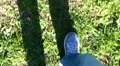 Walking (shoes close-up) HD Footage