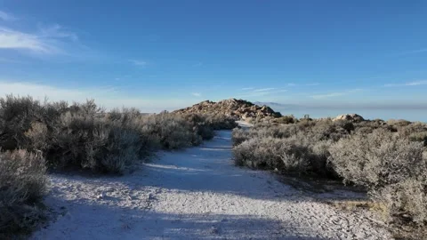 Walking shot along a desert trail, Antelope Island State Park, Great Salt Lake Stock Footage 338427928