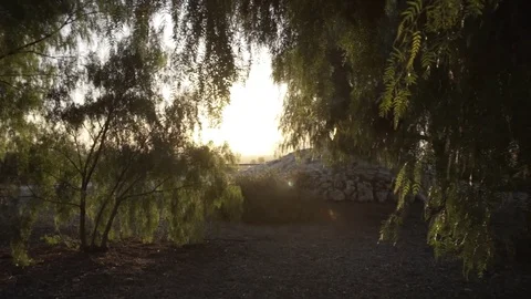 Walking Shot Stock Footage 83154257