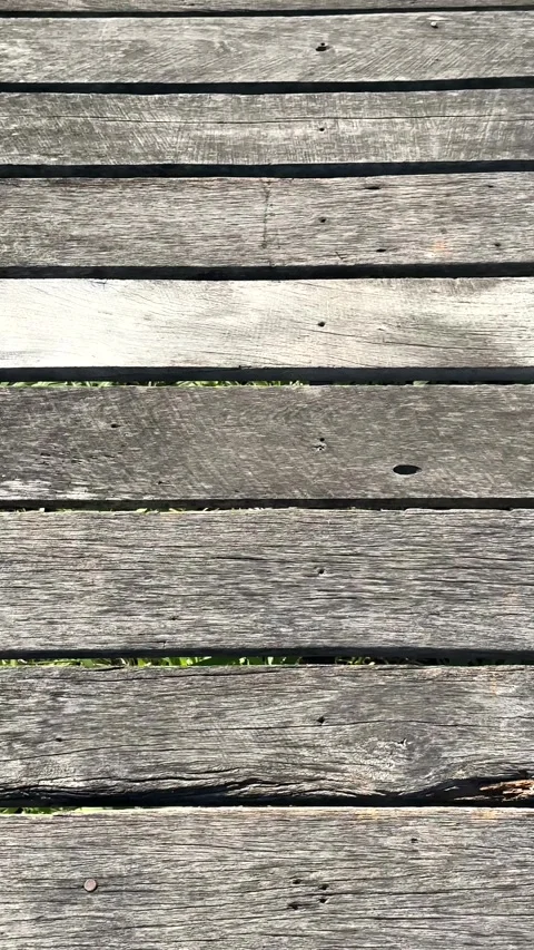 Walking shot of Rustic Weathered Wood Planks or Decking with Green Grass Pe.. Stock Footage 324558576