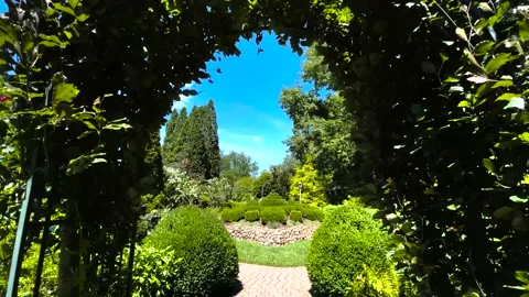 Walking shot underneath hedge trellis to reveal garden sculpture Stock Footage 239102329