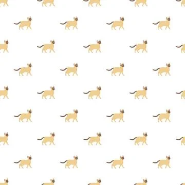 Walking siamese cats seamless pattern on white background Stock Illustration
