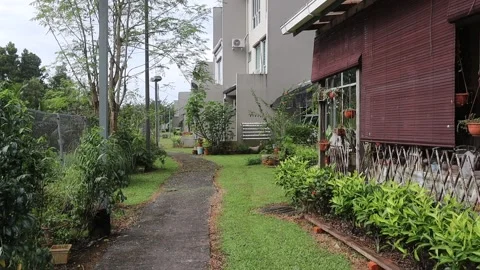 Walking By the side of the house Stock Footage 170168463