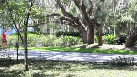 Walking on side walk Stock Footage 11427335