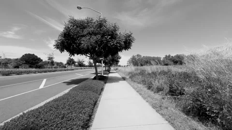 Walking on sidewalk next to a road and a field in black and white Stock Footage 308258123
