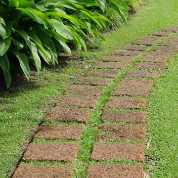Walking on the sidewalk Stock Photos