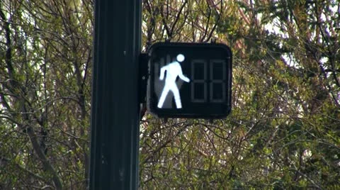 Walking sign counting down straight Stock Footage 10884251