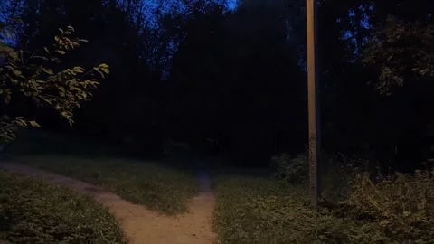 Walking in the silence Stock Footage 316799433