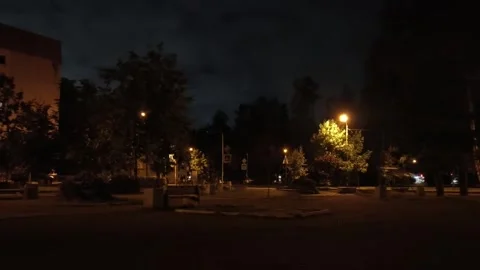 Walking in the silence Stock Footage 316799434