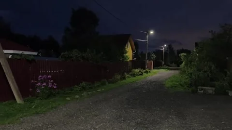 Walking in the silence Stock Footage 316799435