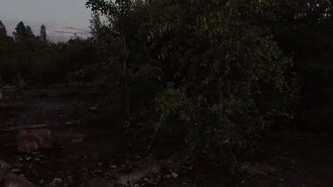 Walking in the silence Stock Footage 316799446