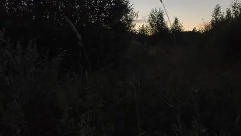 Walking in the silence Stock Footage 316799451