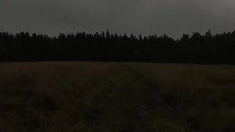 Walking in the silence Stock Footage 316799455