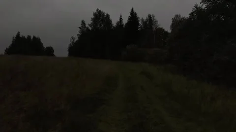 Walking in the silence Stock Footage 316799459