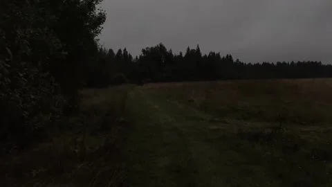 Walking in the silence Stock Footage 316799463