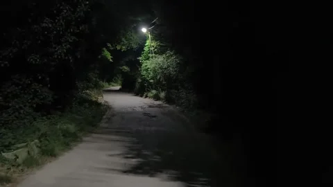 Walking in silence Stock Footage 316941966