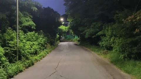 Walking in silence Stock Footage 316941982