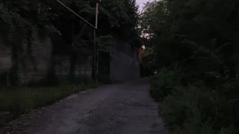 Walking in silence Stock Footage 316941986