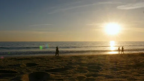Walking silhouettes on the beach during golden hour. Stock Footage