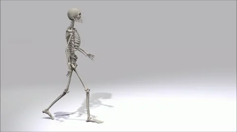 Walking Skeleton Stock Footage 12179053