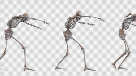 Walking Skeleton Zombies Loop 스톡 동영상 265073919