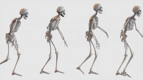 Walking Skeletons Loop Stock Footage 265073777