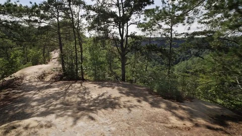 Walking on Sky Bridge above Kentucky's Red River Gorge Stock Footage 82155333