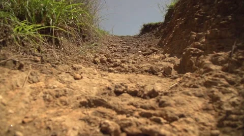 Walking in Slow Motion in Maasai Mara, Kenya Stock Footage 40956146
