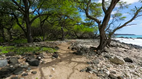 Walking on a small winding path along South Maui's shores. Stock Footage 57226944