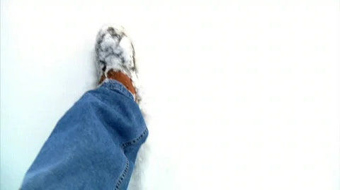 Walking in Snow 1308 Stock Footage
