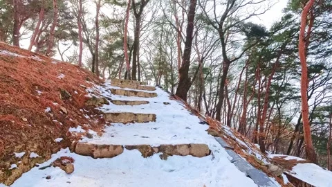 Walking snow castle V1-0010 Vídeo Stock 331951495