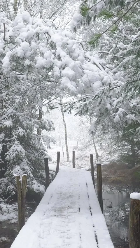 Walking on a snow covered pier during a winter snowfall Stock Footage 327114723