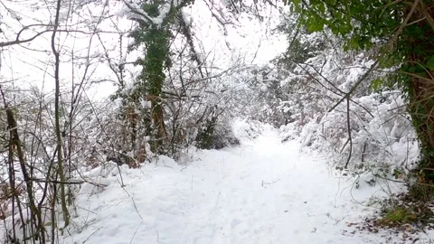 Walking on the snow covered winter forest road Stock-Footage 146340527