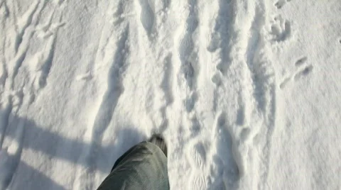 Walking In The Snow Stock Footage 660559