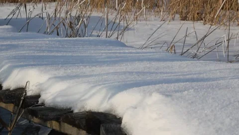 Walking in Snow Stock Footage 1056568