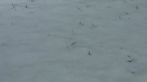 Walking in the Snow Stock Footage 47286756