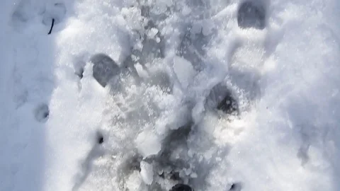 Walking in the snow Stock Footage 72251473