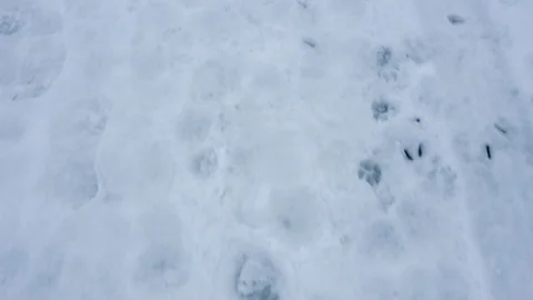 Walking on the snow Stock Footage 102272421