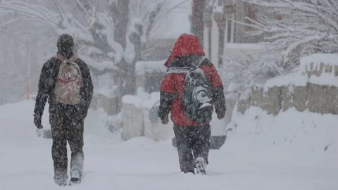 Walking in the snow Vidéo 121965750