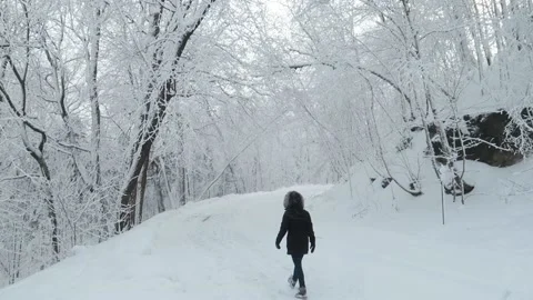 Walking in the snow 库存影片 140955417