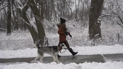 Walking on the Snow Stock Footage 147299378
