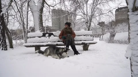 Walking on the Snow Stock Footage 147299379