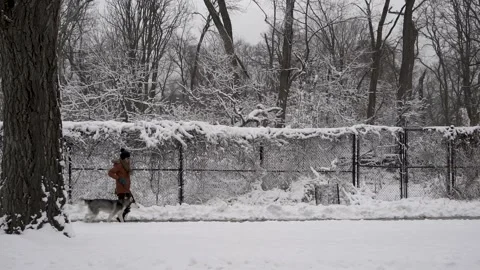 Walking on the Snow Stock Footage 147299472
