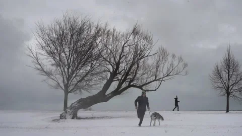 Walking on the Snow Stock Footage 147299505