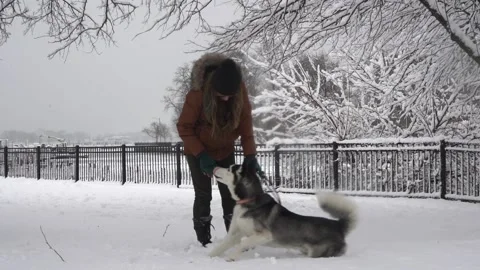 Walking on the Snow Stock Footage 147299539
