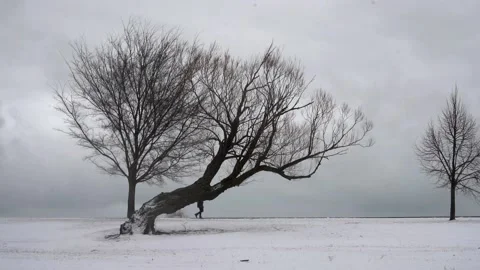 Walking on the Snow Stock Footage 147299544