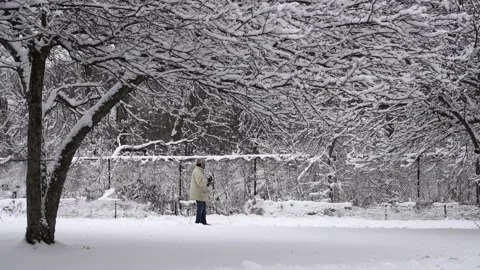 Walking on the Snow Stock Footage 147299787