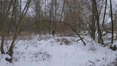 Walking in the snow Stock Footage 148578732